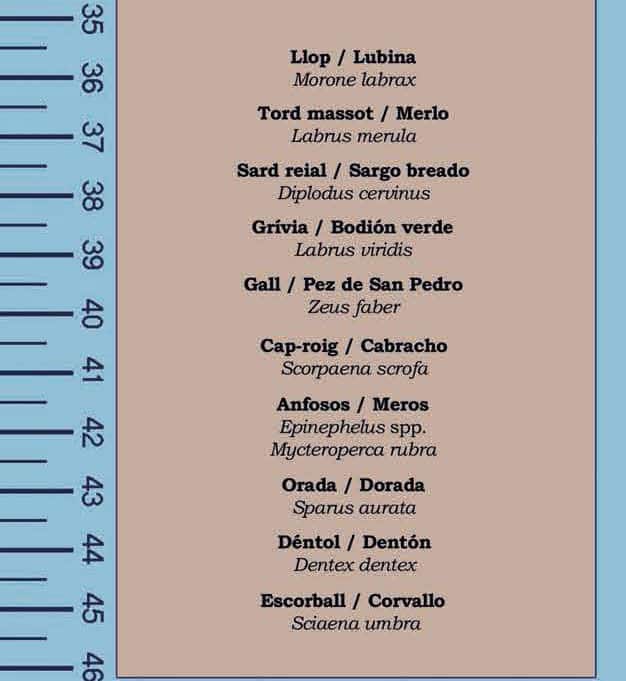 Skyddade fiskarter Balearerna - minimistorlekar för spanskt fiskekort
